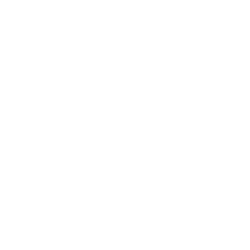 Fallon Health logo